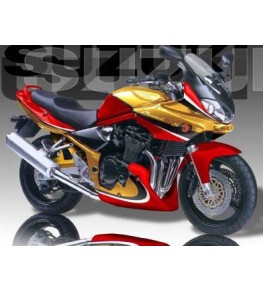 Sabot moteur Evo 2 Bandit 600 et 1200 projet peinture