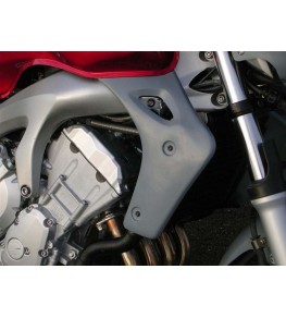 Ecopes de radiateur FZ6 N 04-06