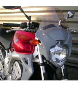 Saute vent FZ6 N 04-06