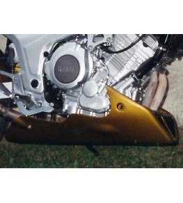 Sabot moteur TDM 850 96-02