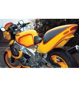 Ecopes Street FZR 1000 Exup 91-93 montage Street Bike vue arrière