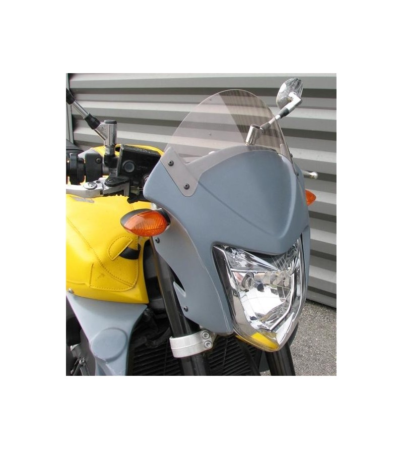 Saute vent FZ1 N 06-15