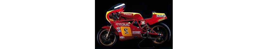 Carénage POLY 26 Ducati 600 TT2, carénage en 2 partie avec sabot, bulle 