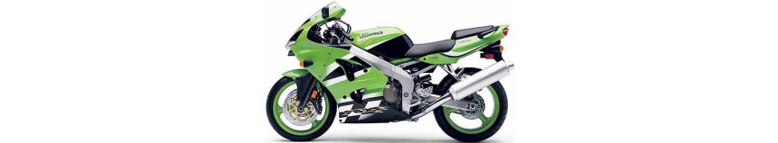 Carénages en stratifié polyester pour Kawasaki ZX6R de 2000 à 2002, carénage en 2 parties