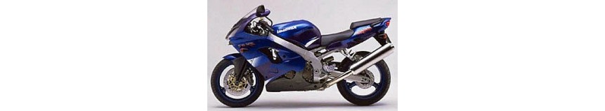 Carénages en stratifié polyester pour Kawasaki ZX9R de 2000 à 2001, carénage en 2 parties avec ou sans découpe