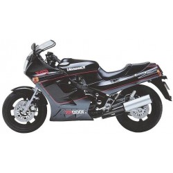 Kawasaki 1000 RX